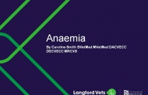 Anaemia