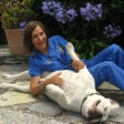 Dr Alice Villalobos Dr Alice Villalobos