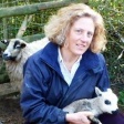 Dr Fiona Lovatt Dr Fiona Lovatt