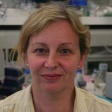 Dr Frances Henson Dr Frances Henson